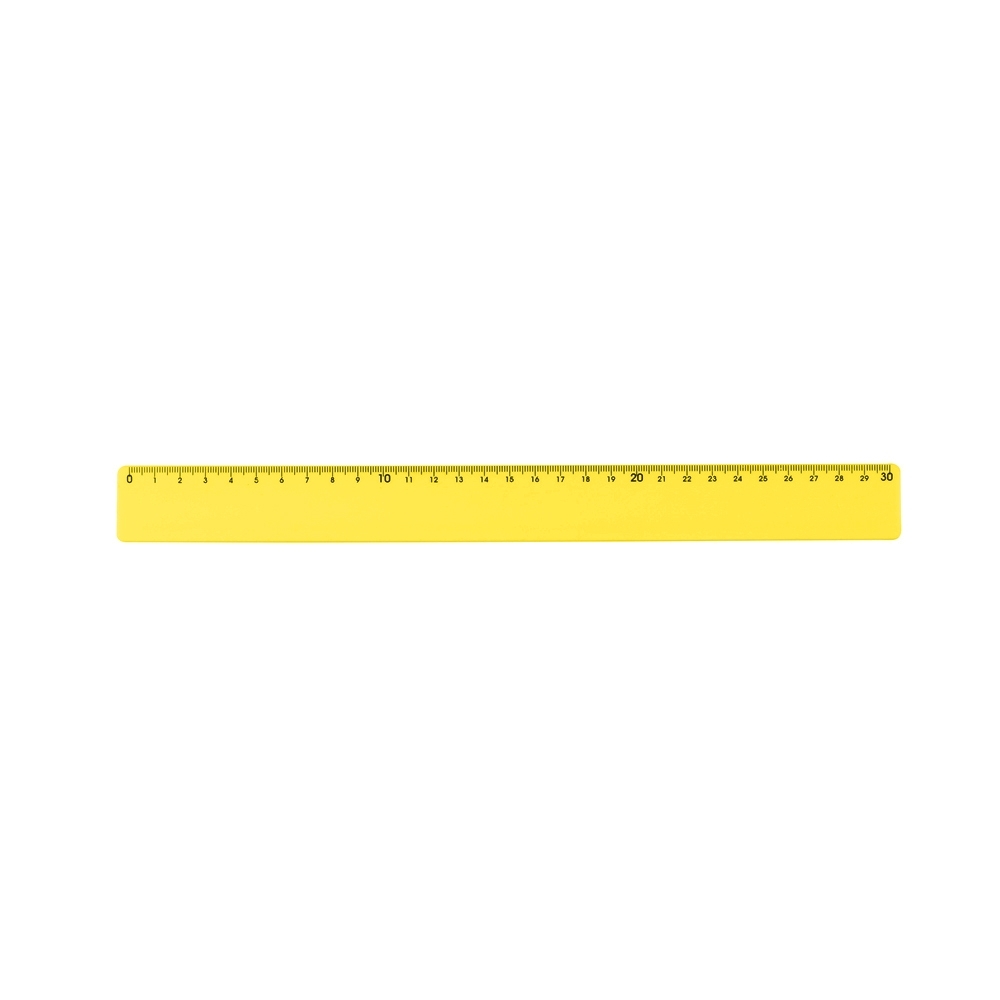 Régua plástica 30cm - 3