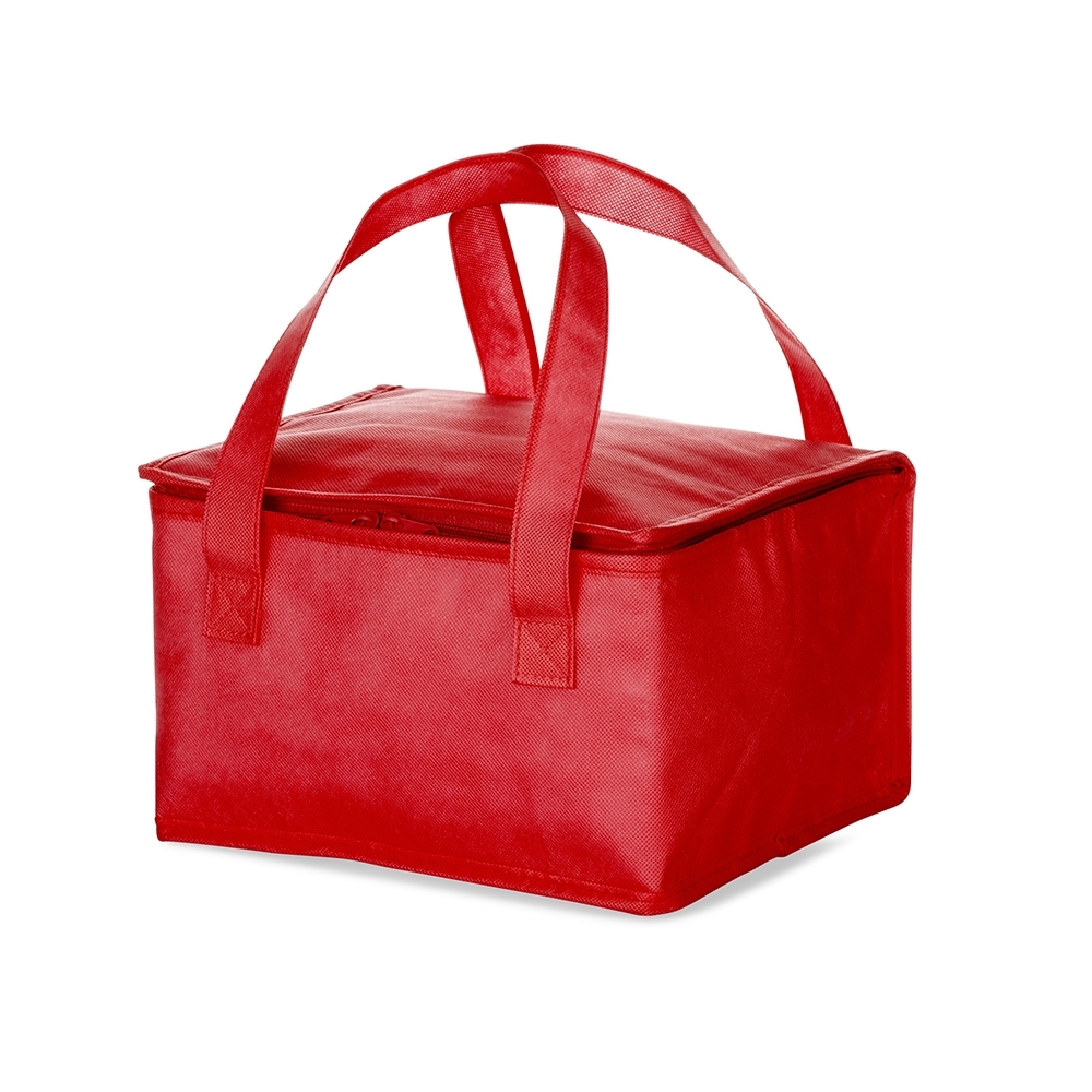 Bolsa térmica 13 litros - 5