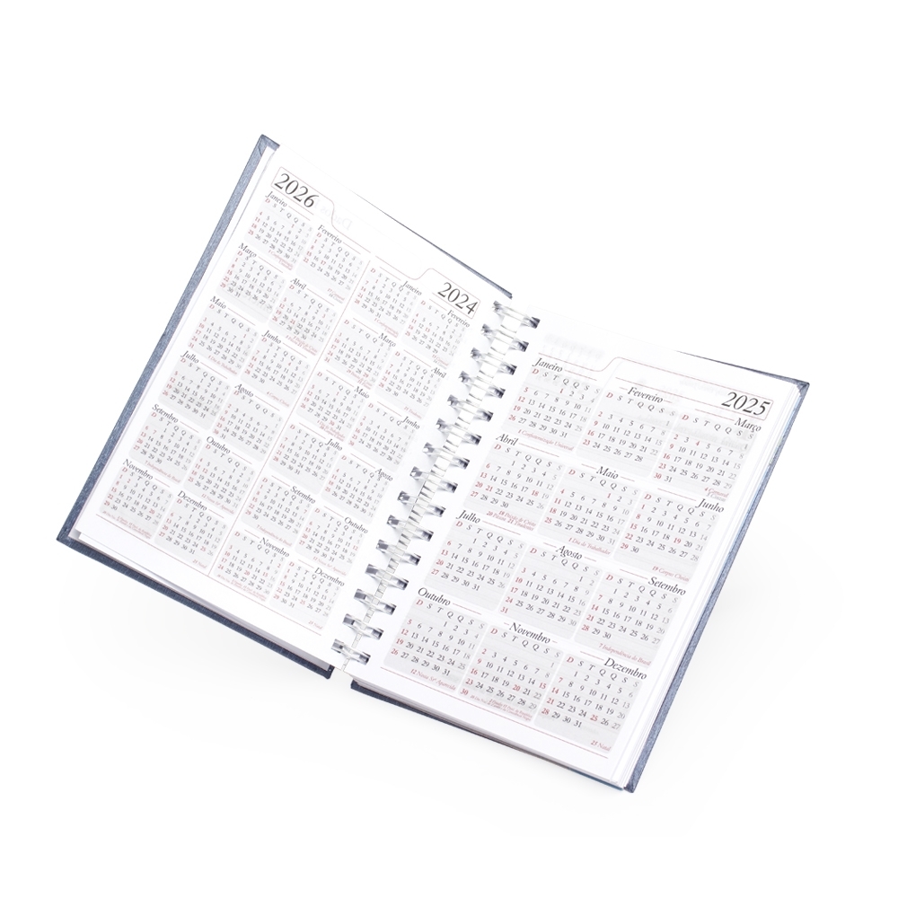 Agenda diária 2025 - 5
