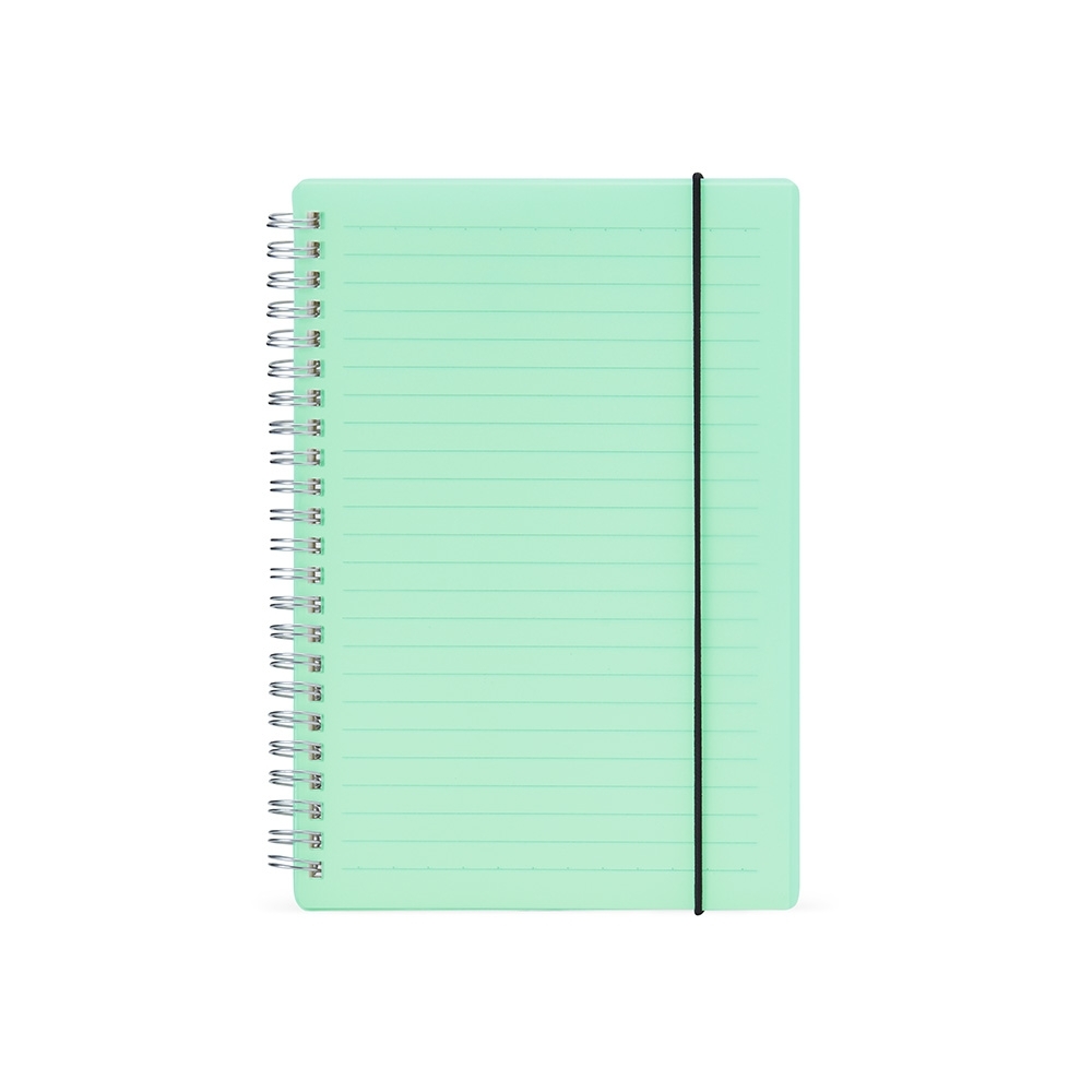 Caderno plástico com pauta 21x15 - 4