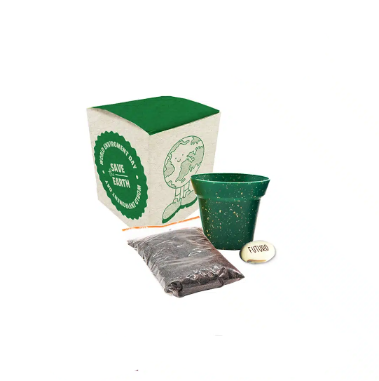 Kit ecobox com semente mágica - 2